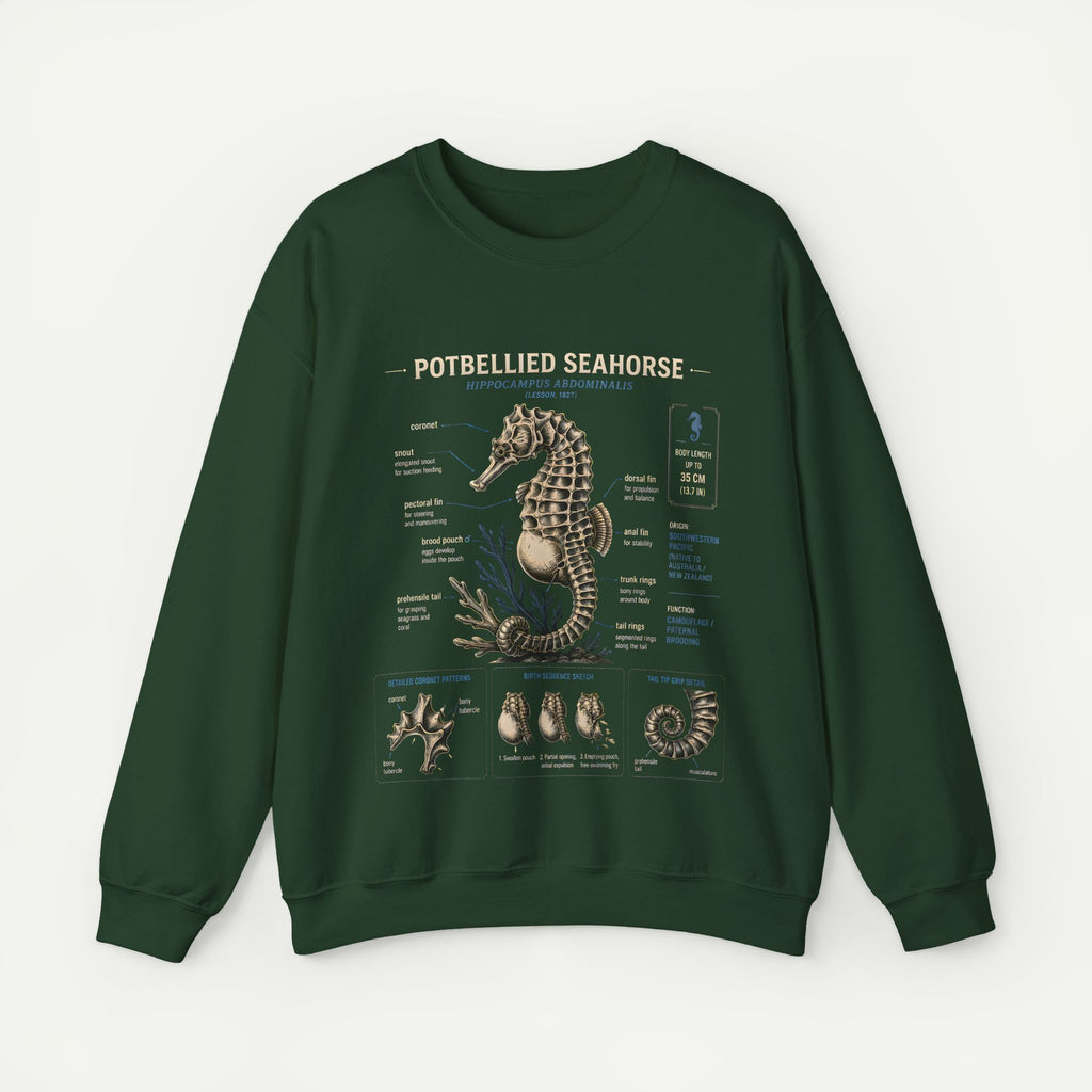 Potbellied Seahorse Anatomy Sweatshirt – Marine Biology Illustration Crewneck