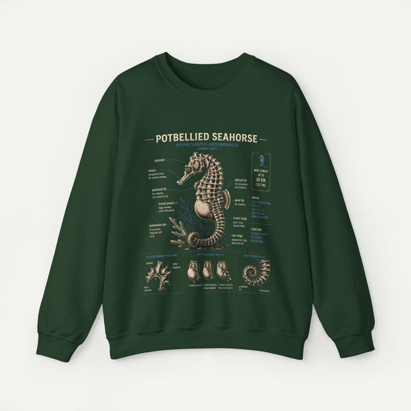 Potbellied Seahorse Anatomy Sweatshirt – Marine Biology Illustration Crewneck