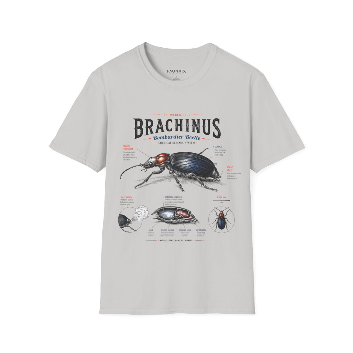 Brachinus Bombardier Beetle Anatomy T-Shirt — Vintage Entomology Graphic Tee
