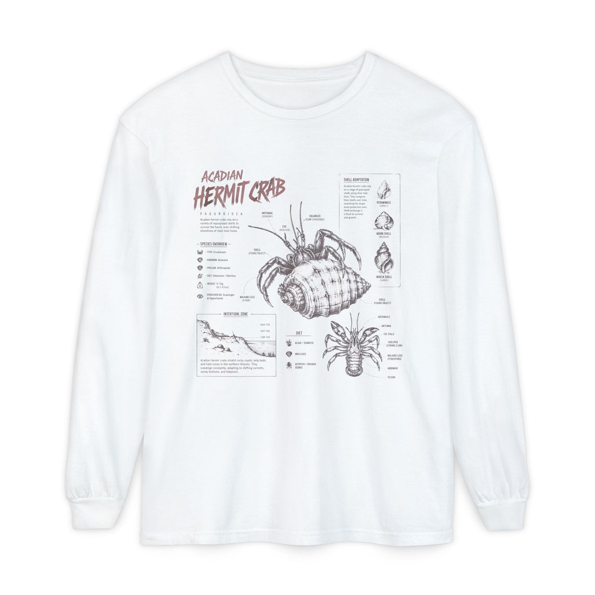 Hermit Crab Anatomy Long Sleeve Tee