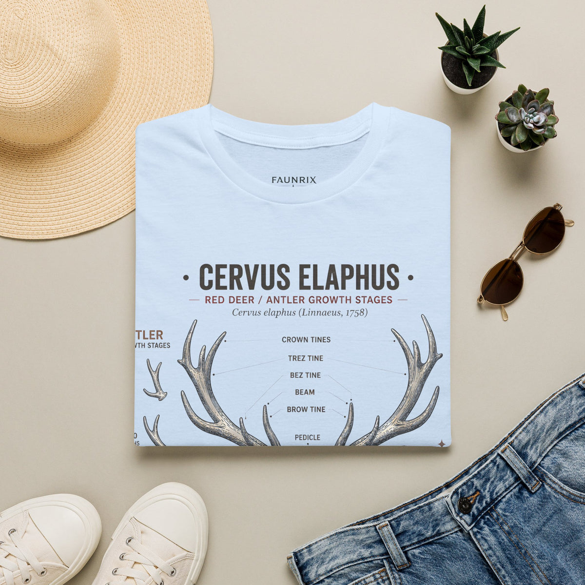 Deer Antler Anatomy T-Shirt — 'Cervus Elaphus' Educational Graphic