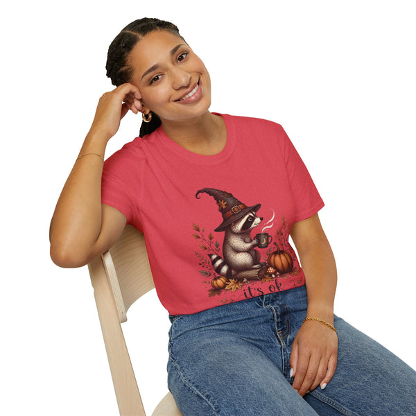 T-Shirt — Cute Raccoon Witch Illustration "It's OK to Be Weird" | Halloween Cozy Fall Graphic Tee