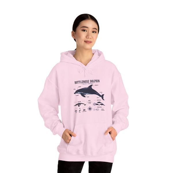 Bottlenose Dolphin Diagram Hoodie – Marine Life Anatomy Sweatshirt
