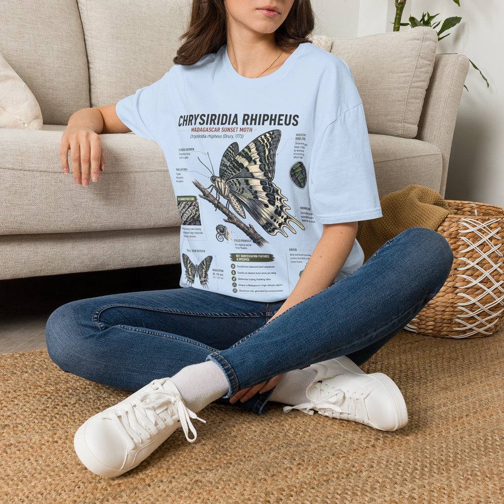 Moth Anatomy Tee — Chrysiridia Rhipheus Madagascar Sunset Moth Scientific Print