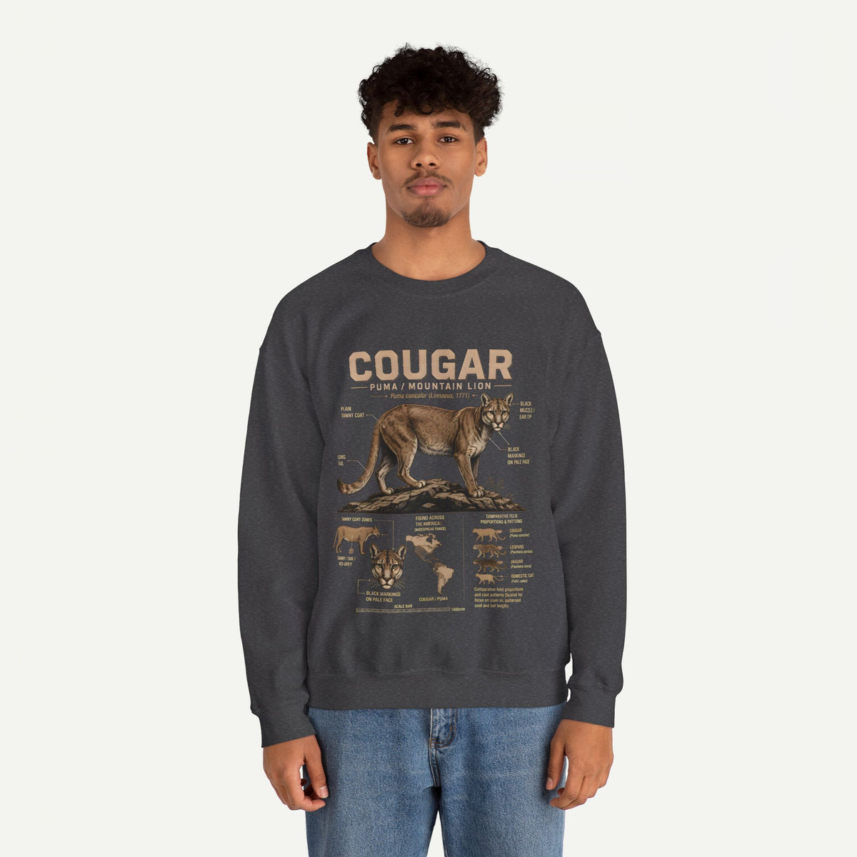 Cougar Anatomy Sweatshirt – Puma / Mountain Lion Educational Crewneck