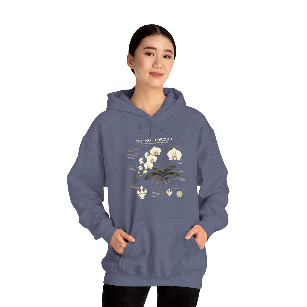 Botanical Orchid Anatomy Hoodie — Vintage Plant Illustration Sweatshirt