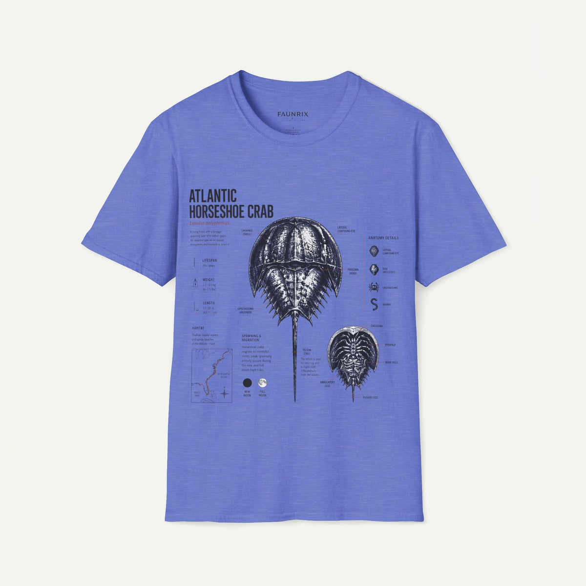 Horseshoe Crab Anatomy T-Shirt — Atlantic Horseshoe Crab Illustration Main image