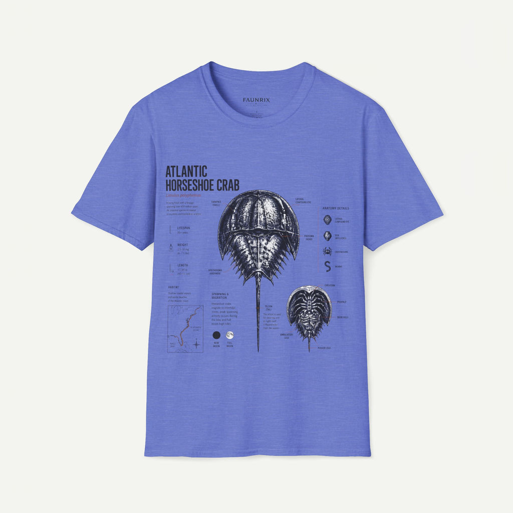 Horseshoe Crab Anatomy T-Shirt — Atlantic Horseshoe Crab Illustration