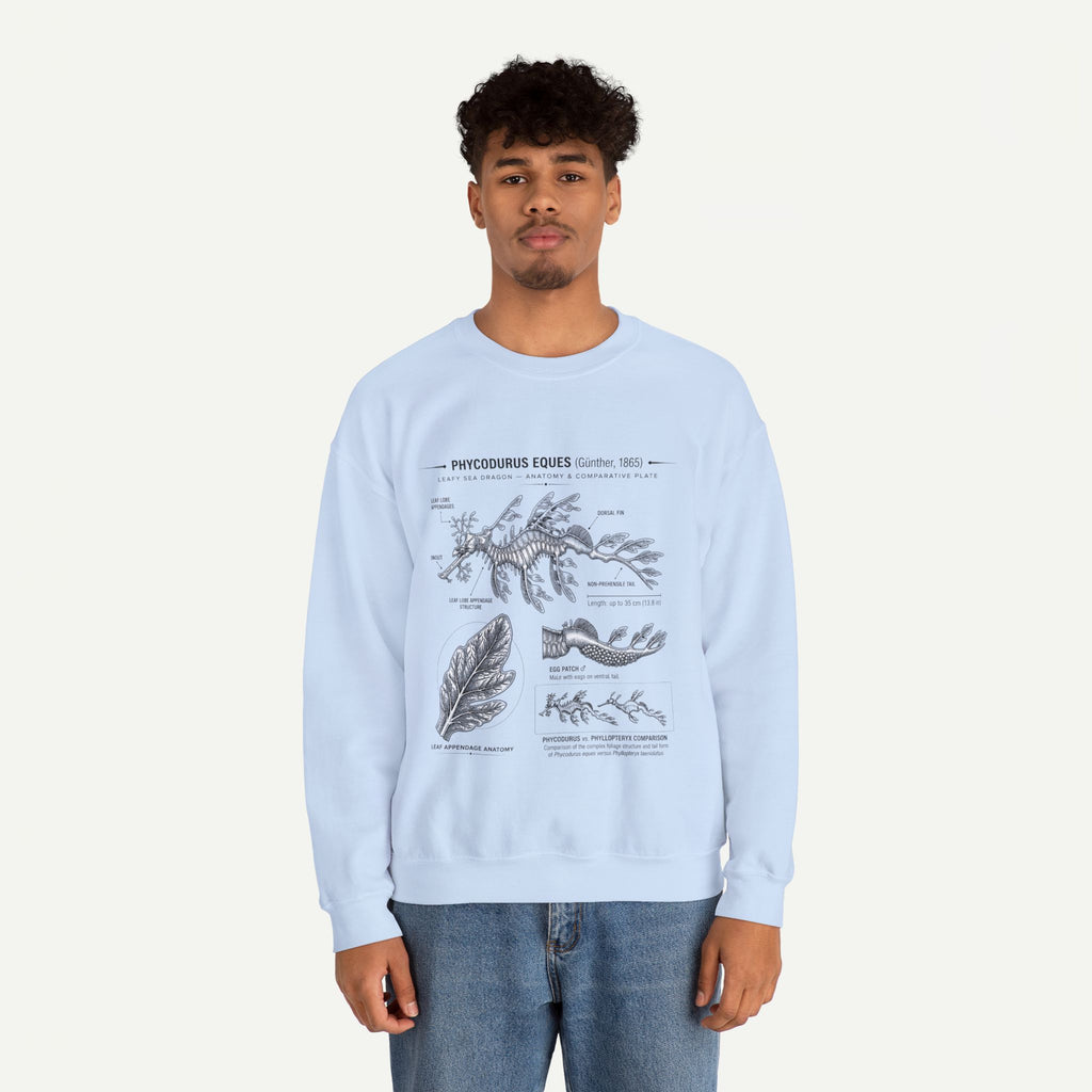 Botanical Anatomy Sweatshirt — Vintage Phycodurus Eques Seaweed Illustration