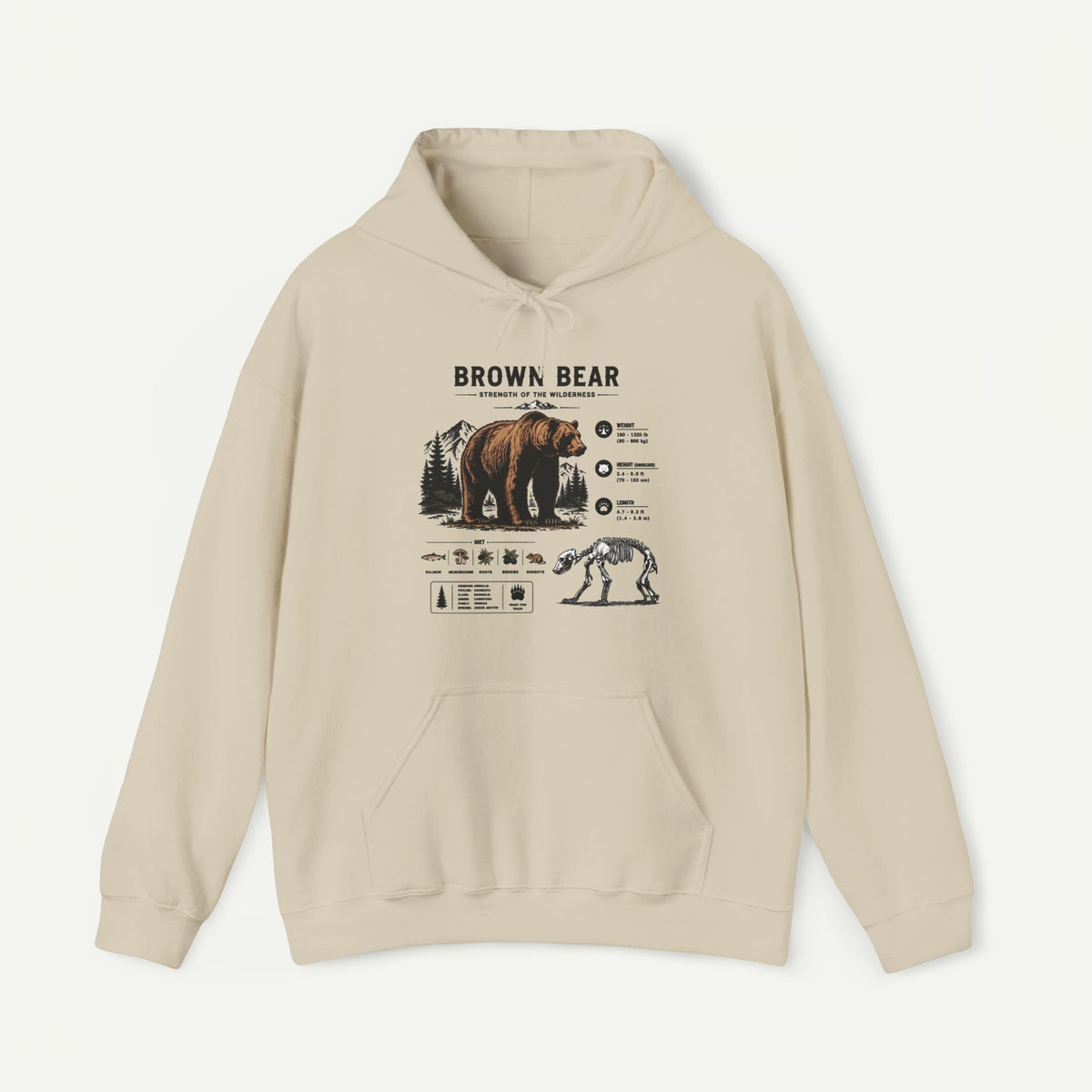 Brown Bear Anatomy Hoodie — Vintage Wildlife Graphic Sweatshirt Main image