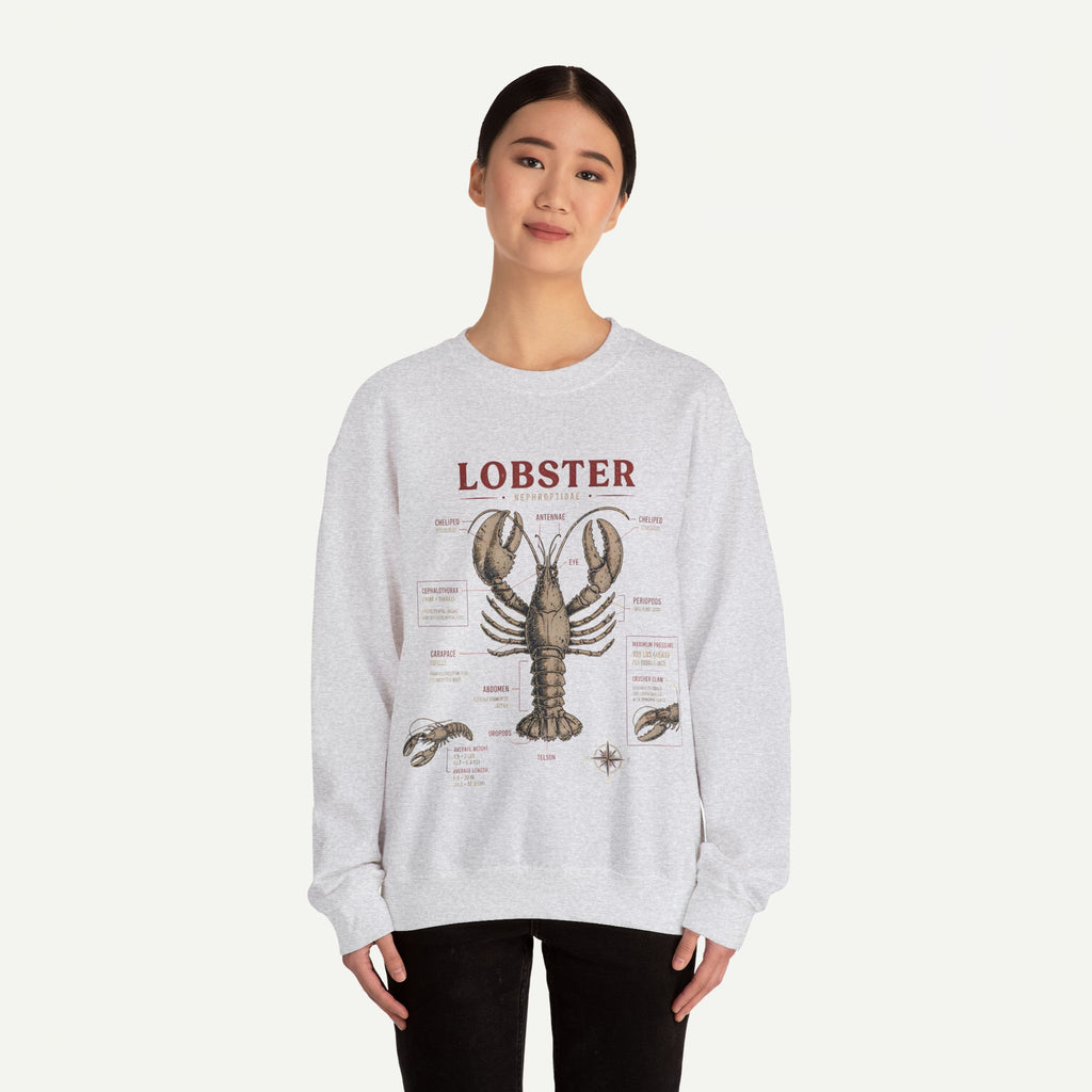 Lobster Anatomy Crewneck Sweatshirt