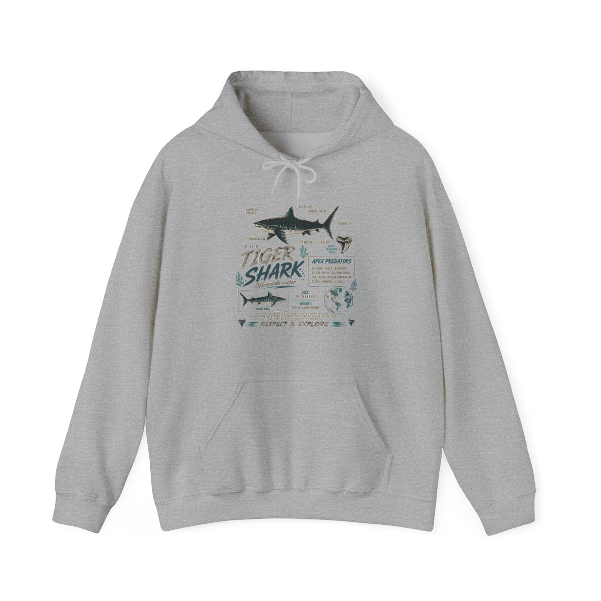 Tiger Shark Illustration Hoodie — Marine Biology Graphic Pullover (Tiger Shark Facts)
