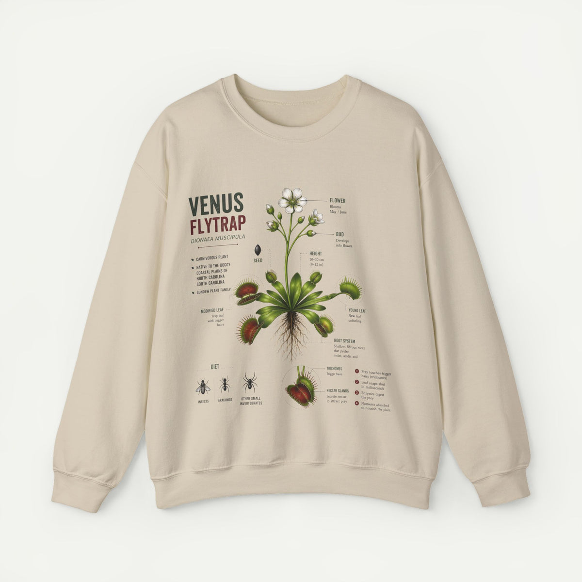 Venus Flytrap Botanical Crewneck Sweatshirt — Vintage Plant Illustration Tee Main image