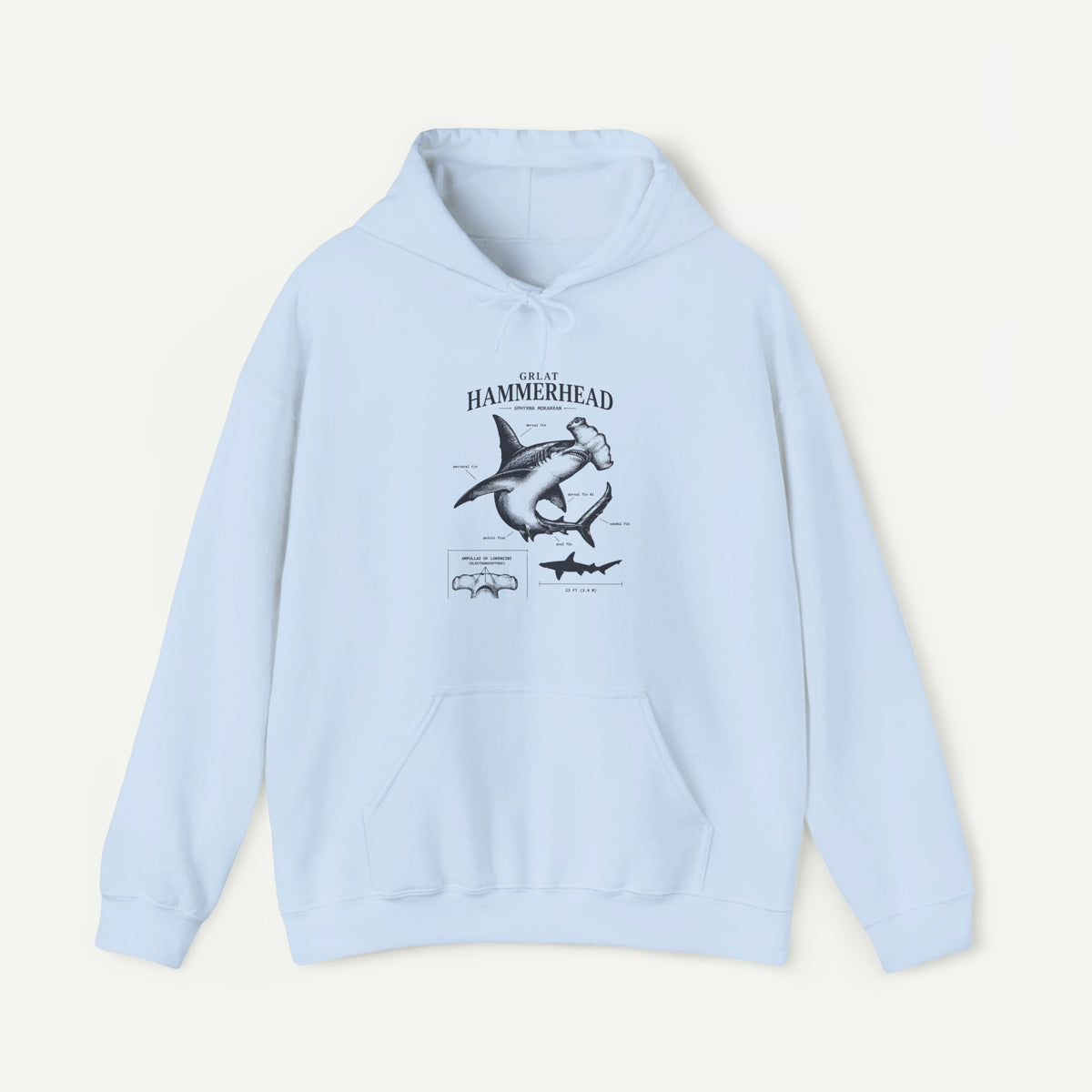 Hammerhead Shark Anatomy Hoodie – Marine Biology Graphic
