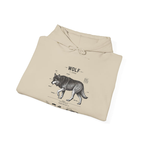 Wolf Anatomy Hoodie – Vintage Wildlife Diagram Sweatshirt