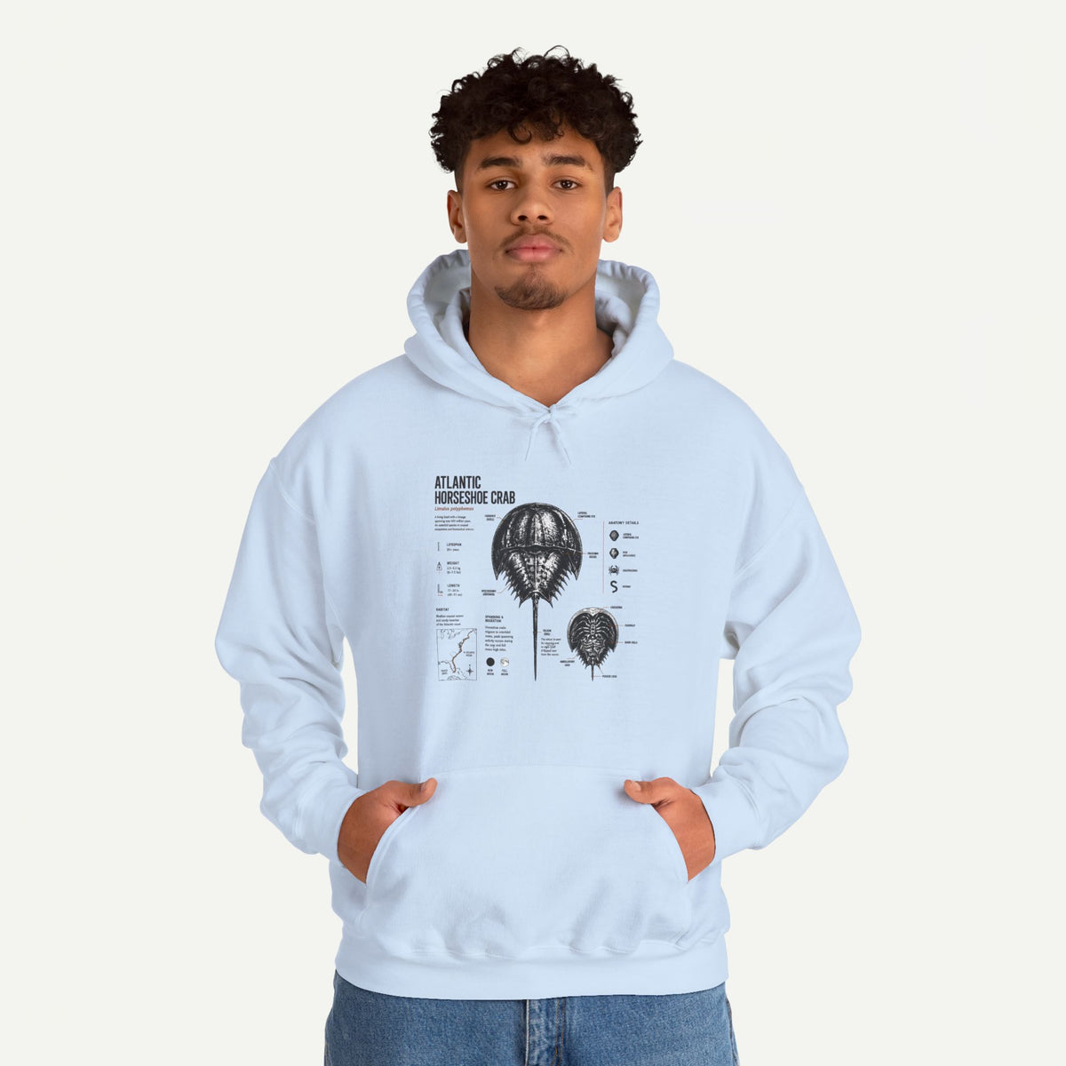 Horseshoe Crab Anatomy Hoodies