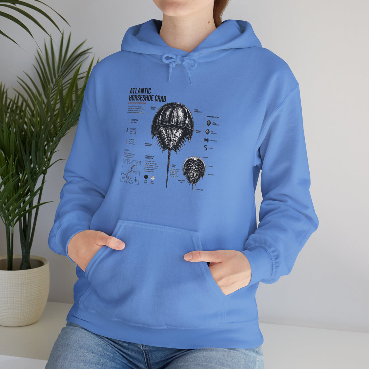 Horseshoe Crab Anatomy Hoodies