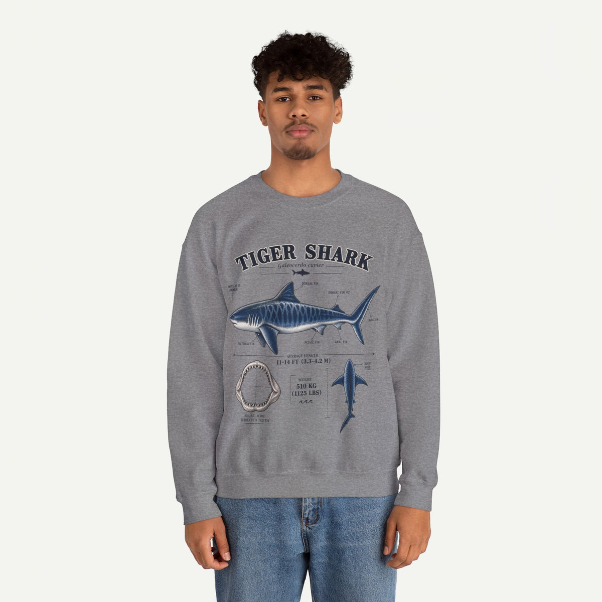 Tiger Shark Anatomy Sweatshirt