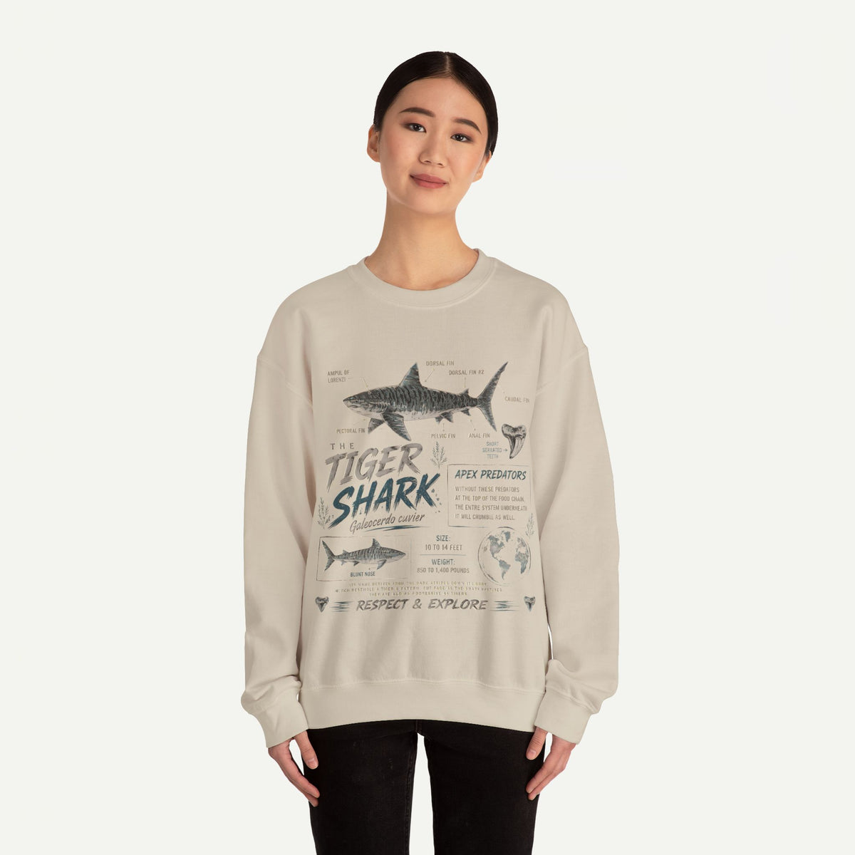 Tiger Shark Anatomy Sweatshirt — Marine Biology Graphic Crewneck