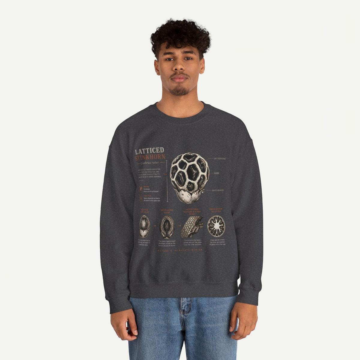 Mushroom Anatomy Sweatshirt – Latticeed Stinkhorn Mycology Crewneck