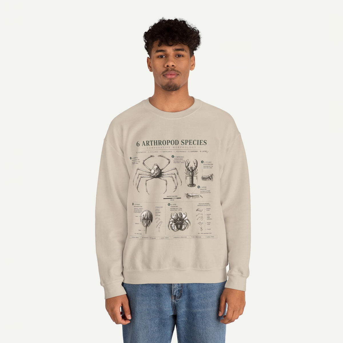 Arthropod Species Diagram Sweatshirt — Vintage Scientific Illustration Crewneck