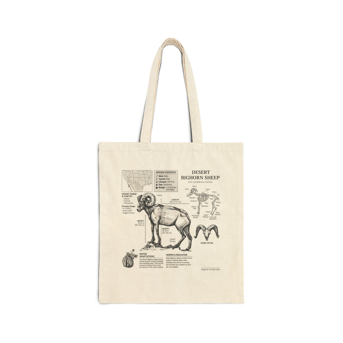 Desert Bighorn Sheep Anatomy Tote — Vintage Wildlife Anatomy Illustration Main image