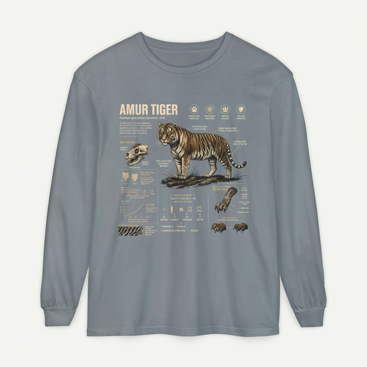 Amur Tiger Anatomy Long Sleeve Tee