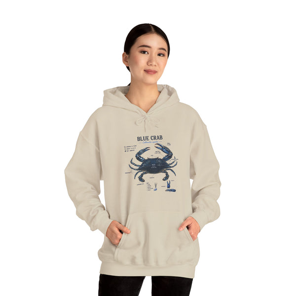 Blue Crab Anatomy Hoodie — Nautical Marine Biology Graphic Sweatshirt
