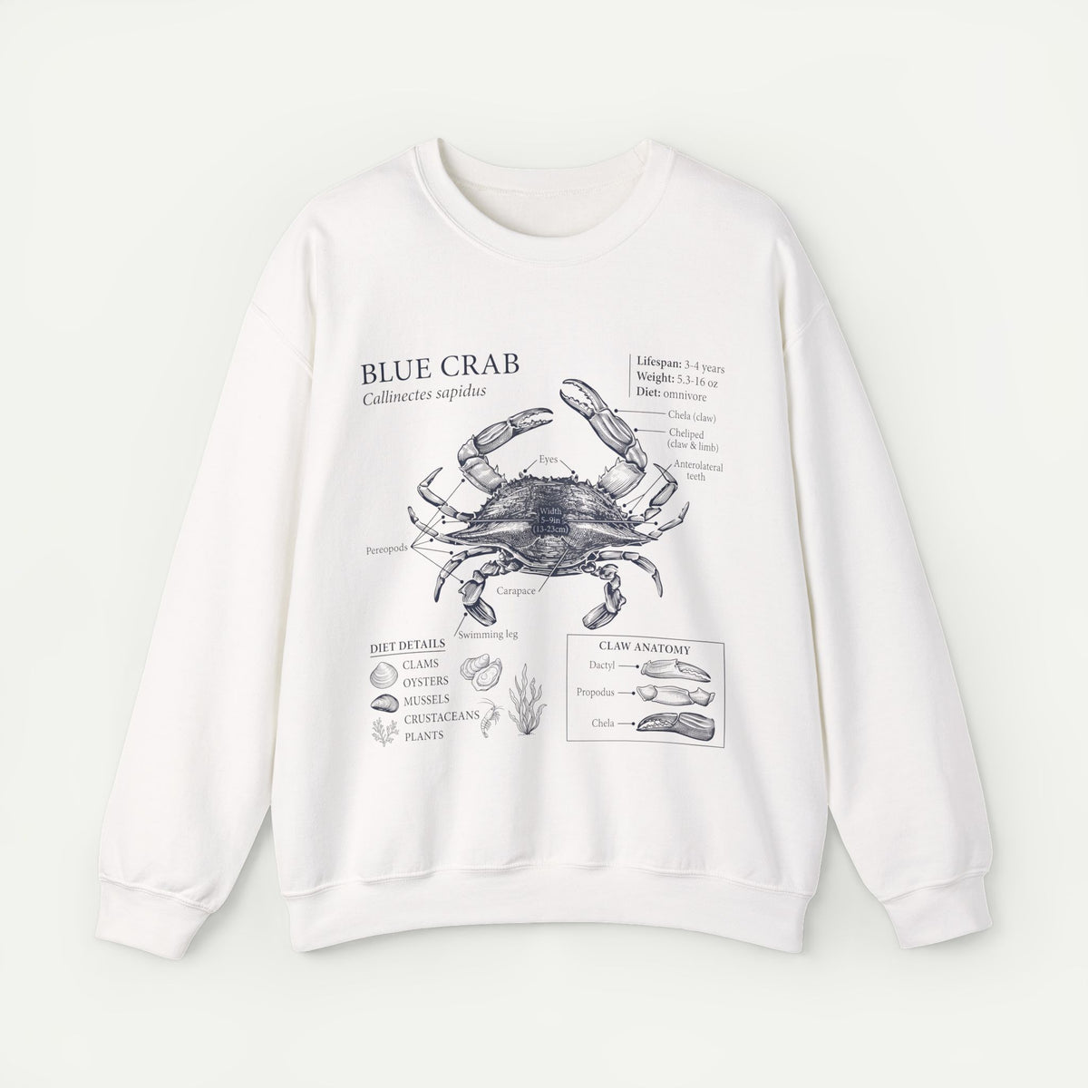 Blue Crab Anatomy Crewneck Sweatshirt – Marine Biology Graphic Pullover Main image