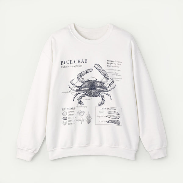 Blue Crab Anatomy Crewneck Sweatshirt – Marine Biology Graphic Pullover