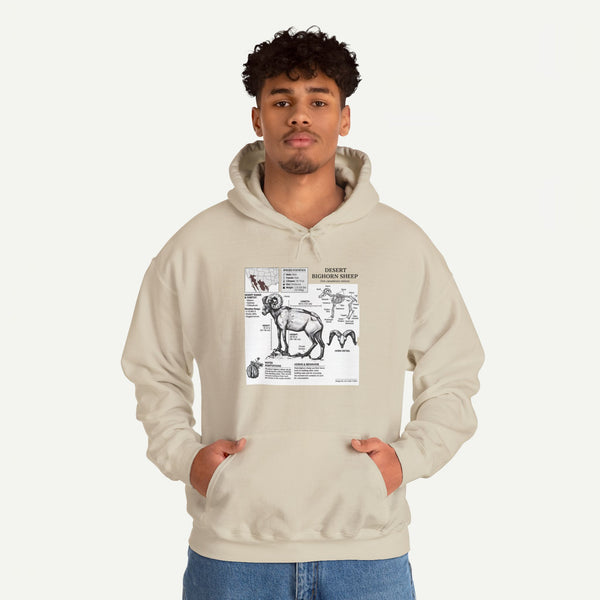 Dog Anatomy Hoodie – Vintage Canine Diagram Sweatshirt