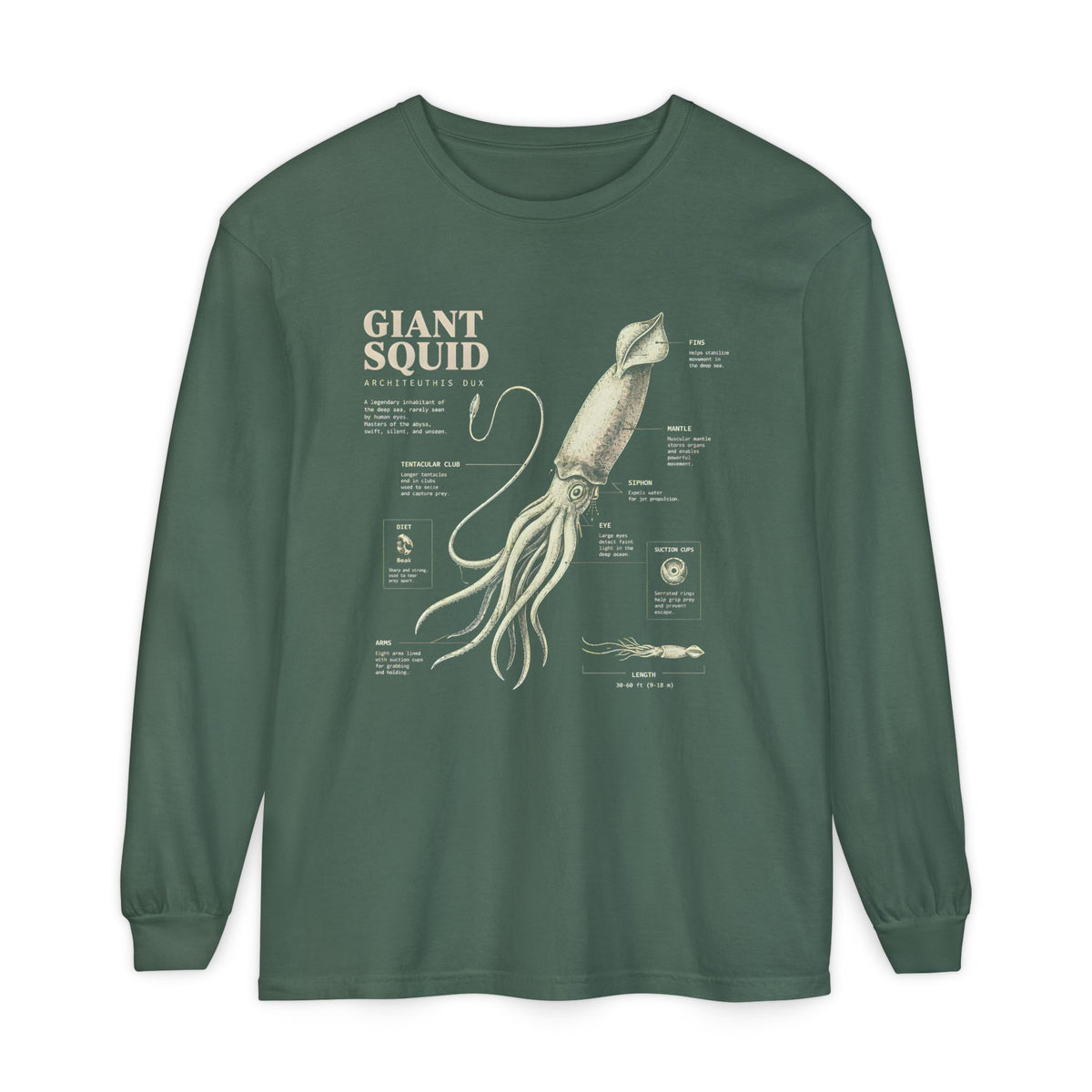 Giant Squid Anatomy Long Sleeve Tee Main image