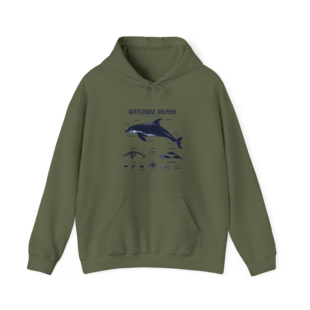 Bottlenose Dolphin Diagram Hoodie – Marine Life Anatomy Sweatshirt