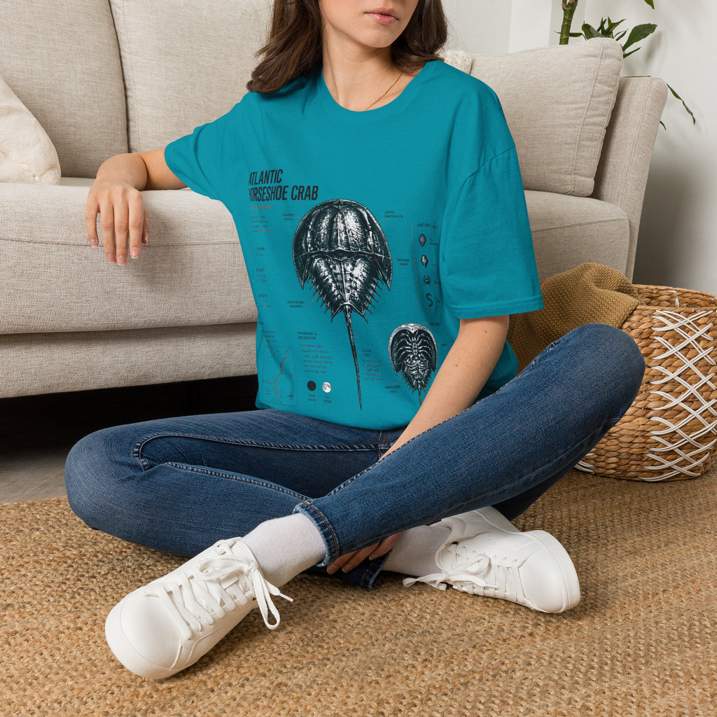 Horseshoe Crab Anatomy T-Shirt — Atlantic Horseshoe Crab Illustration