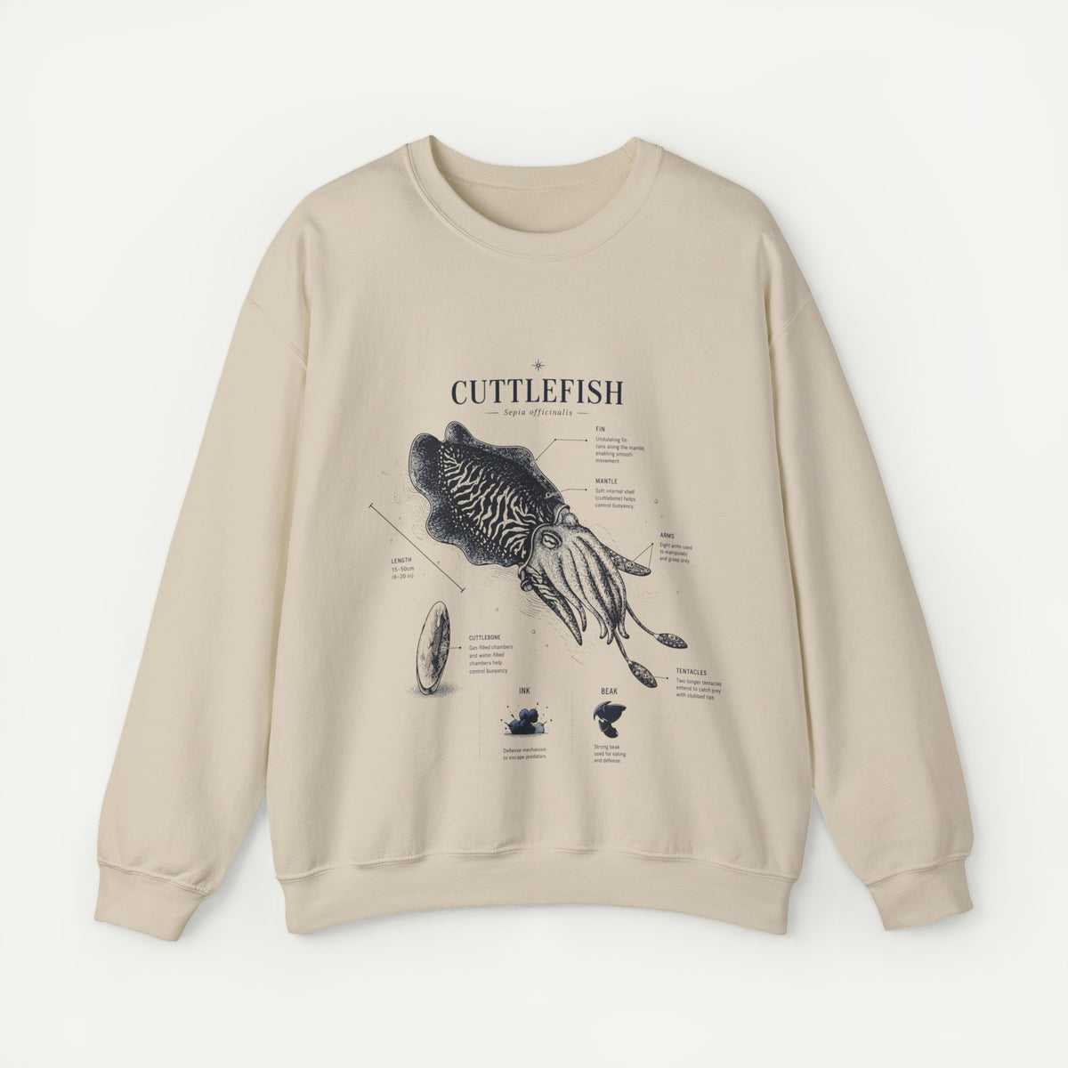 Cuttlefish Anatomy Crewneck Sweatshirt