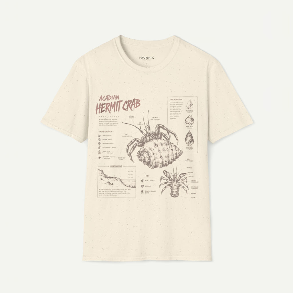 Hermit Crab Anatomy T-Shirt — Acadian Marine Illustration Tee