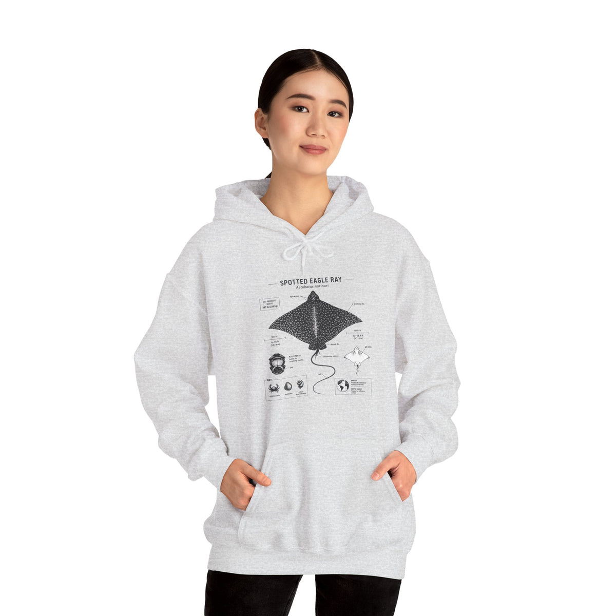 Manta Ray Anatomy Hoodie – Spotted Eagle Ray Diagram Sweatshirt