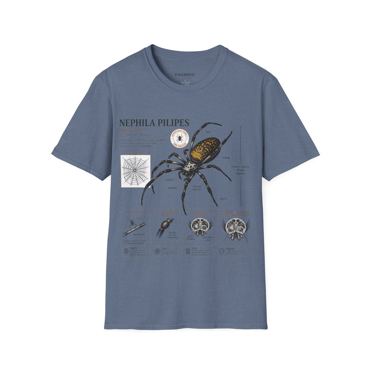 Spider Anatomy T-Shirt — Epephila Pilipis Scientific Illustration Tee
