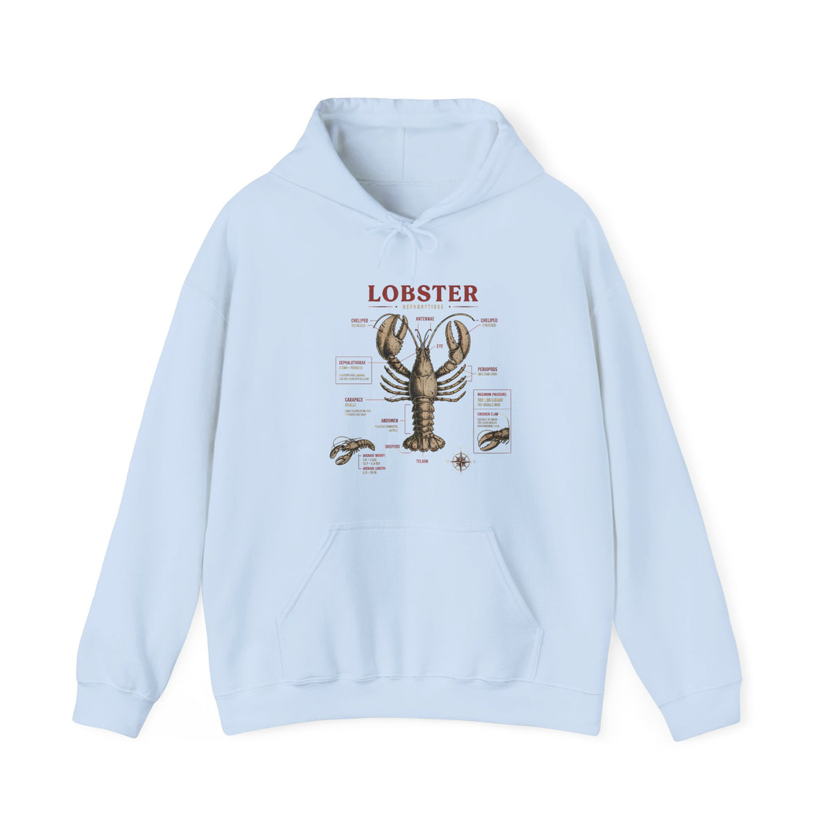 Lobster Anatomy Hoodie – Nautical Seafood Illustration Pullover