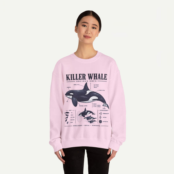 Killer Whale Anatomy Sweatshirt