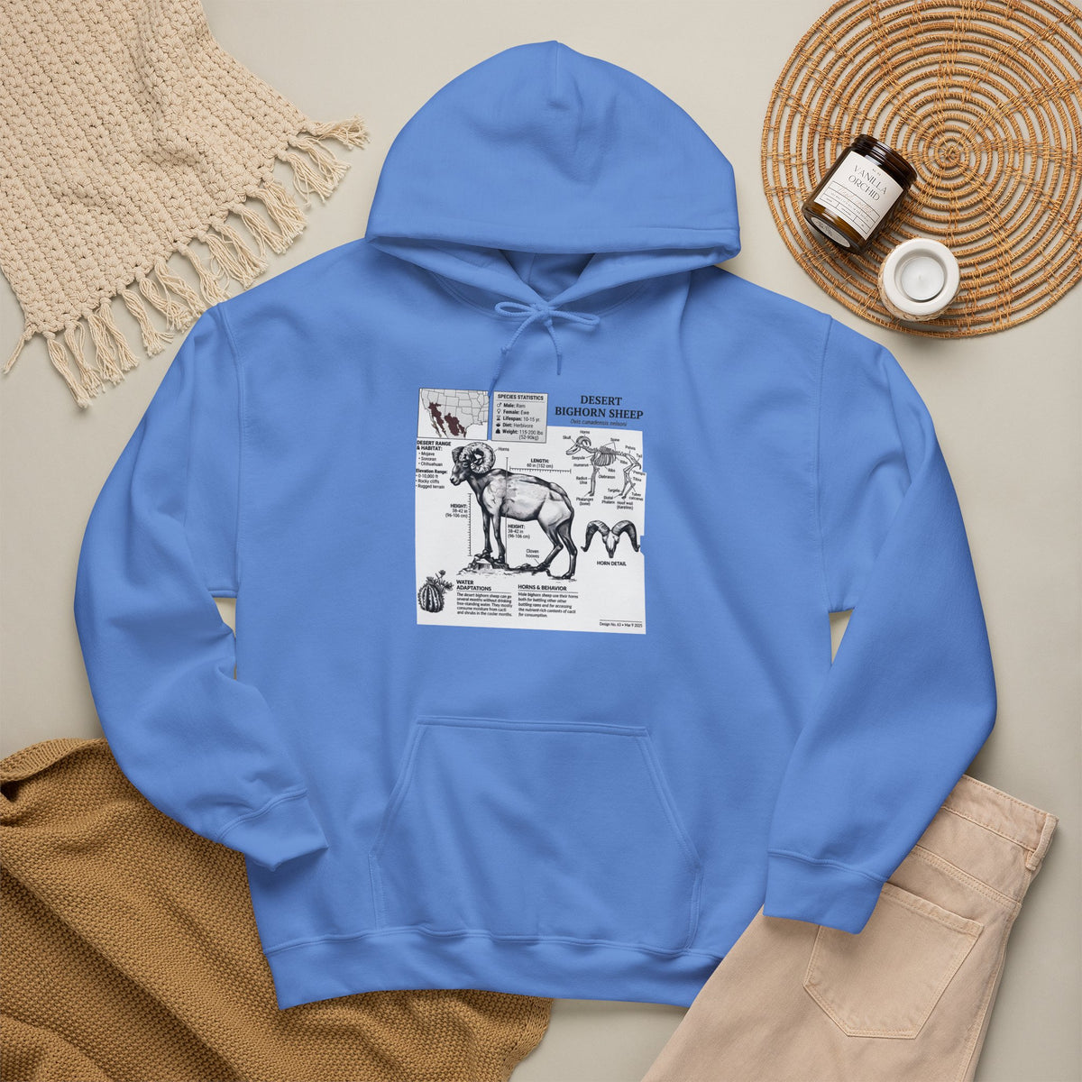 Dog Anatomy Hoodie – Vintage Canine Diagram Sweatshirt