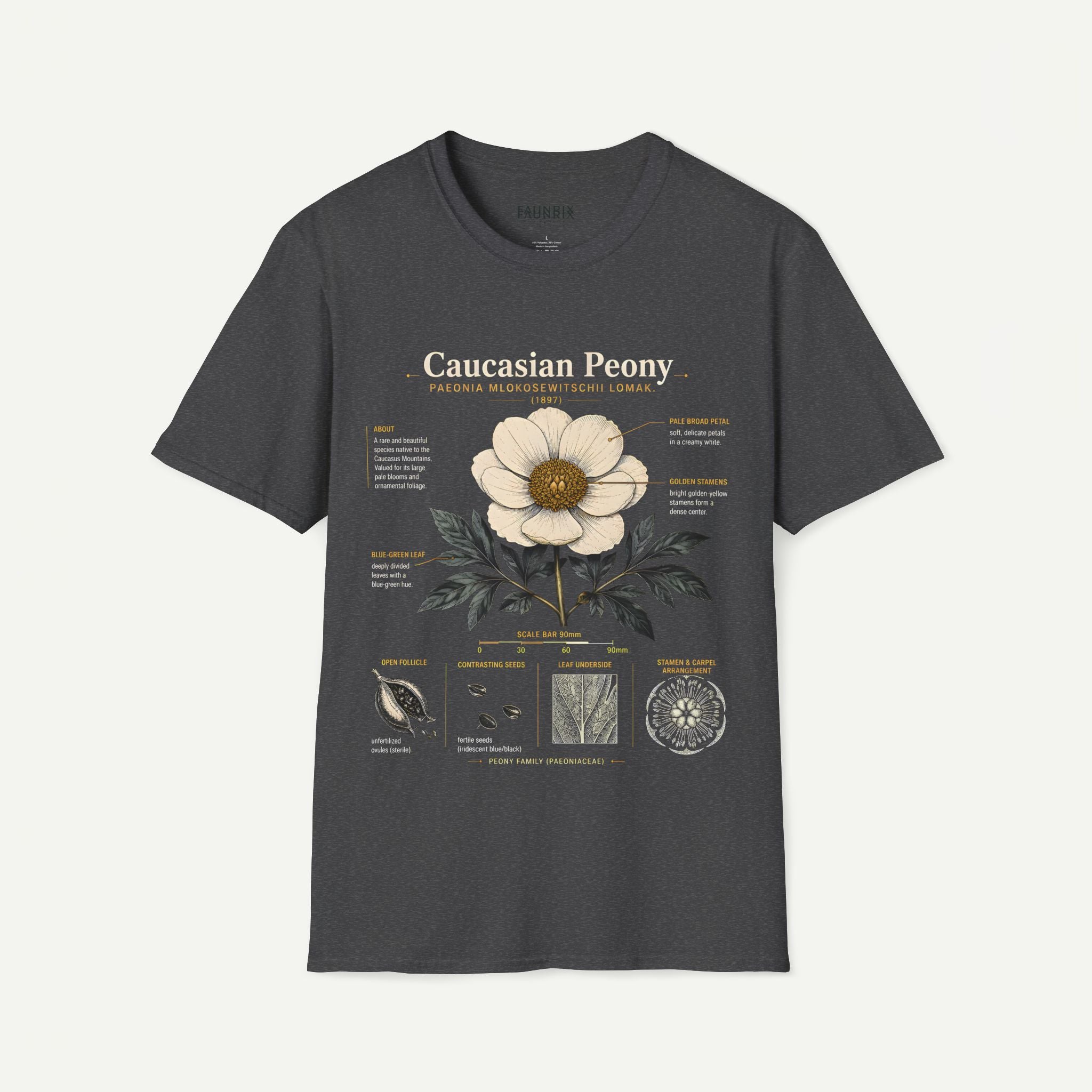 Caucasian Peony Botanical Anatomy T-Shirt — Vintage Floral Illustration Tee Secondary image