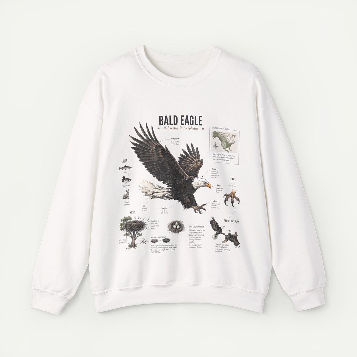 Bald Eagle Anatomy Sweatshirt Main image