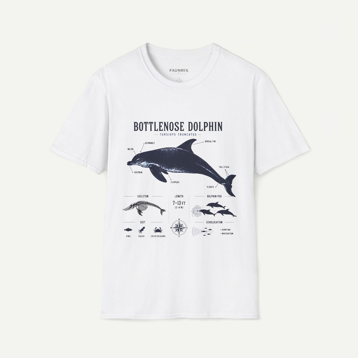 Bottlenose Dolphin Anatomy Tee – Illustrated Marine Life T-Shirt