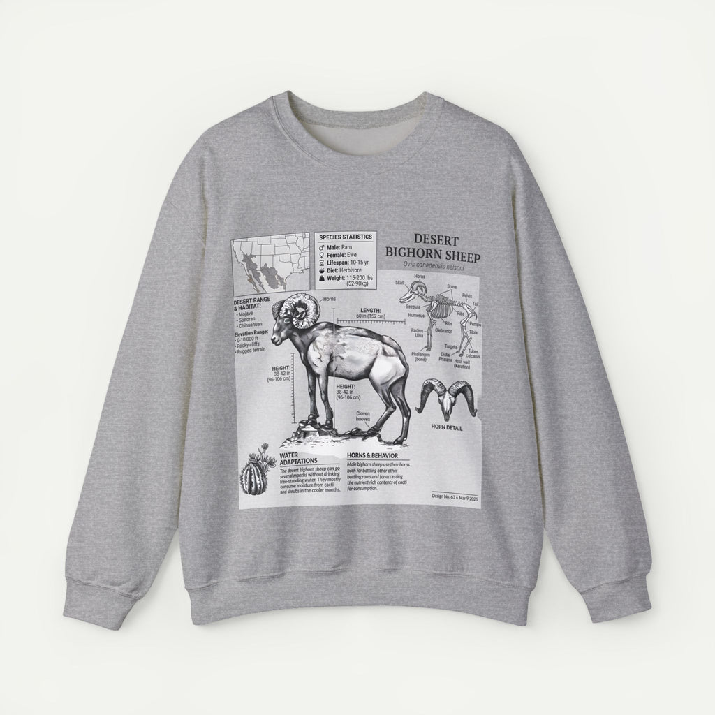 Desert Bighorn Sheep Anatomy Sweatshirt