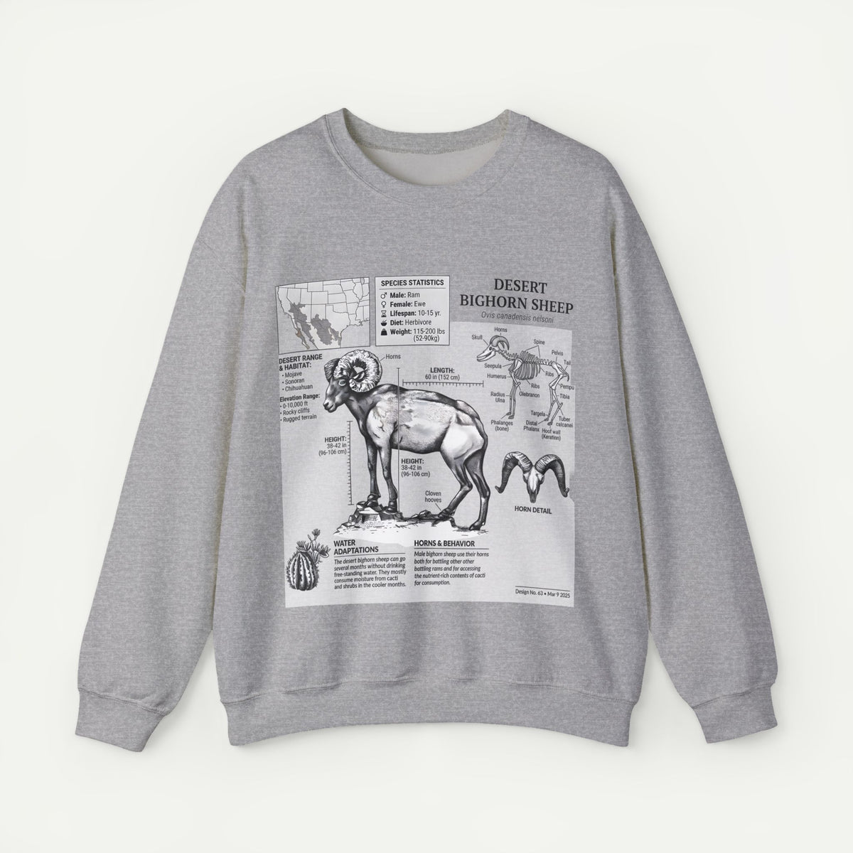 Desert Bighorn Sheep Anatomy Sweatshirt