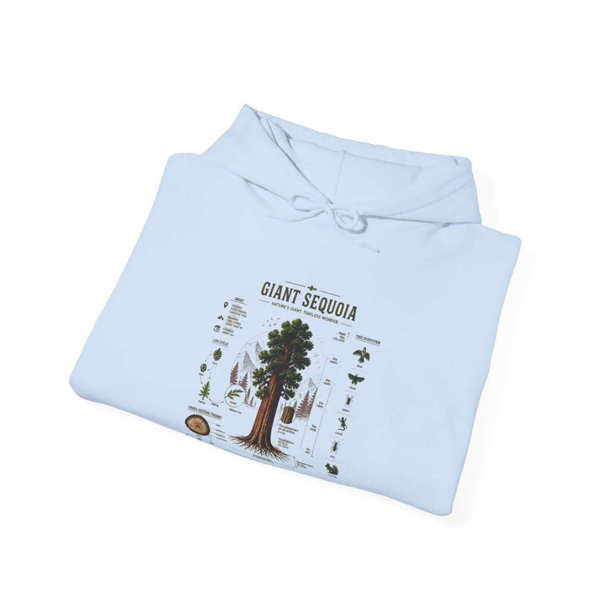 Giant Sequoia Botanical Hoodie — Vintage Tree Illustration & Facts