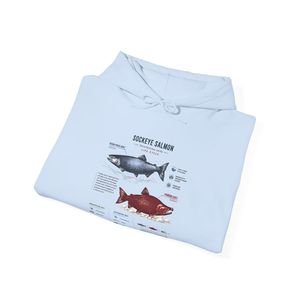 Salmon Species Hoodie — Sockeye & Chinook Fish Identification Graphic Hoodie