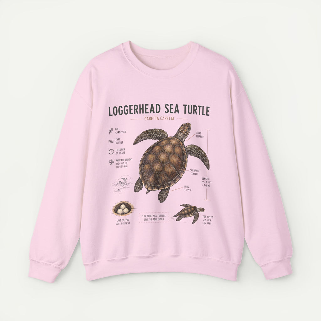 Loggerhead Sea Turtle Anatomy Sweatshirt — Marine Life Educational Crewneck
