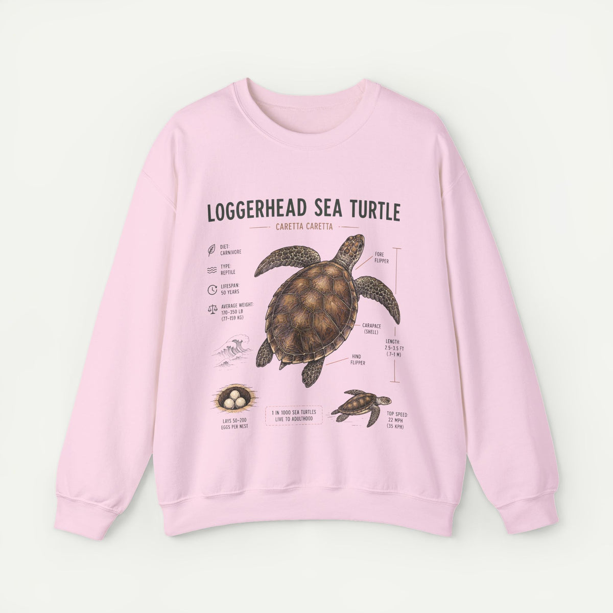 Loggerhead Sea Turtle Anatomy Sweatshirt — Marine Life Educational Crewneck